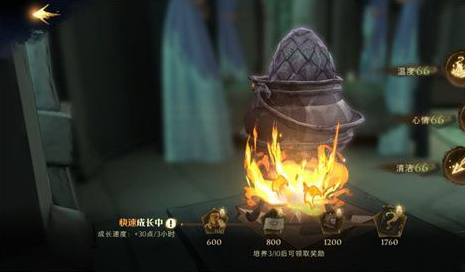 《哈利波特：魔法觉醒》龙蛋怎么养成