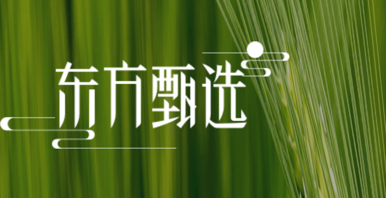 每日科技早报｜华为Mate60开启首次官宣降价之旅，马斯克与自家Grok2AI大模型的“恩怨纠葛”