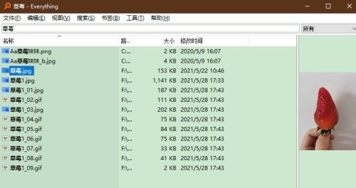 《Everything》缩略图查看文件方法介绍