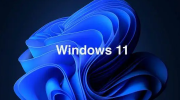 win11