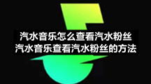 汽水音乐