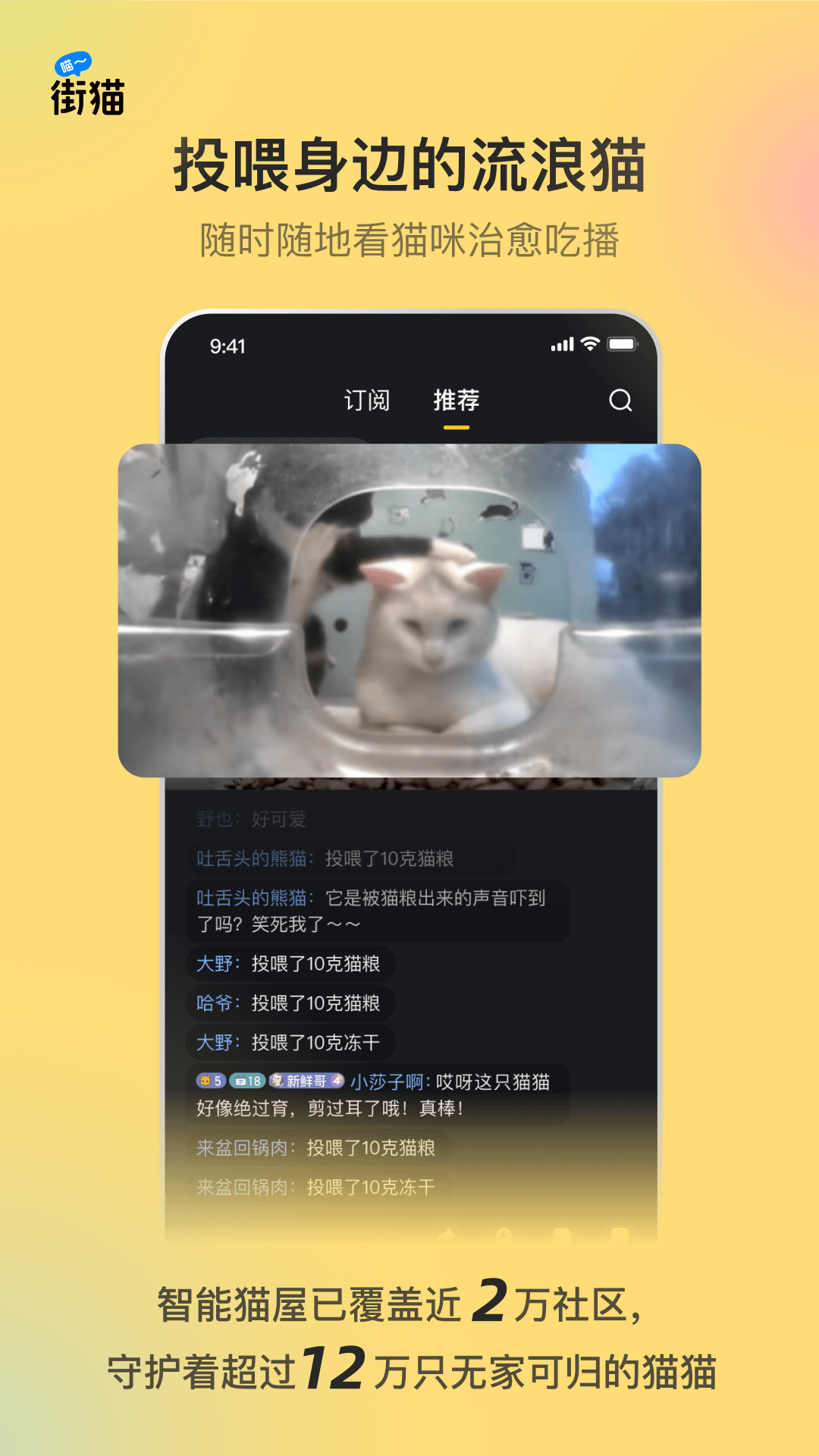 街猫2