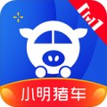 小明猪车